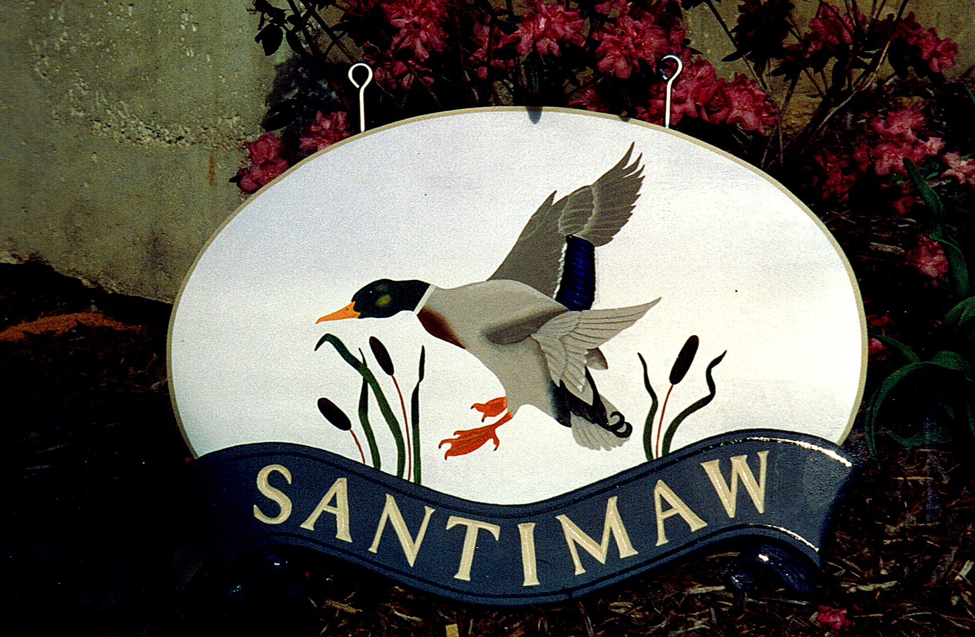 Mallard Duck Sign — Oval with Cattails