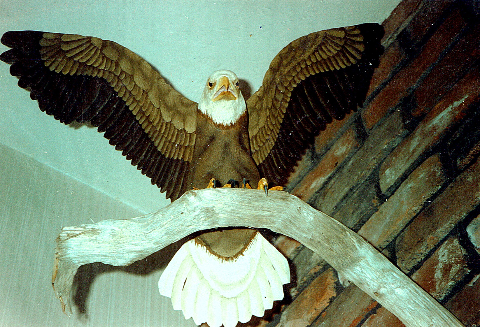 Carved Eagle Sculpture — Hand-Carved on Driftwood