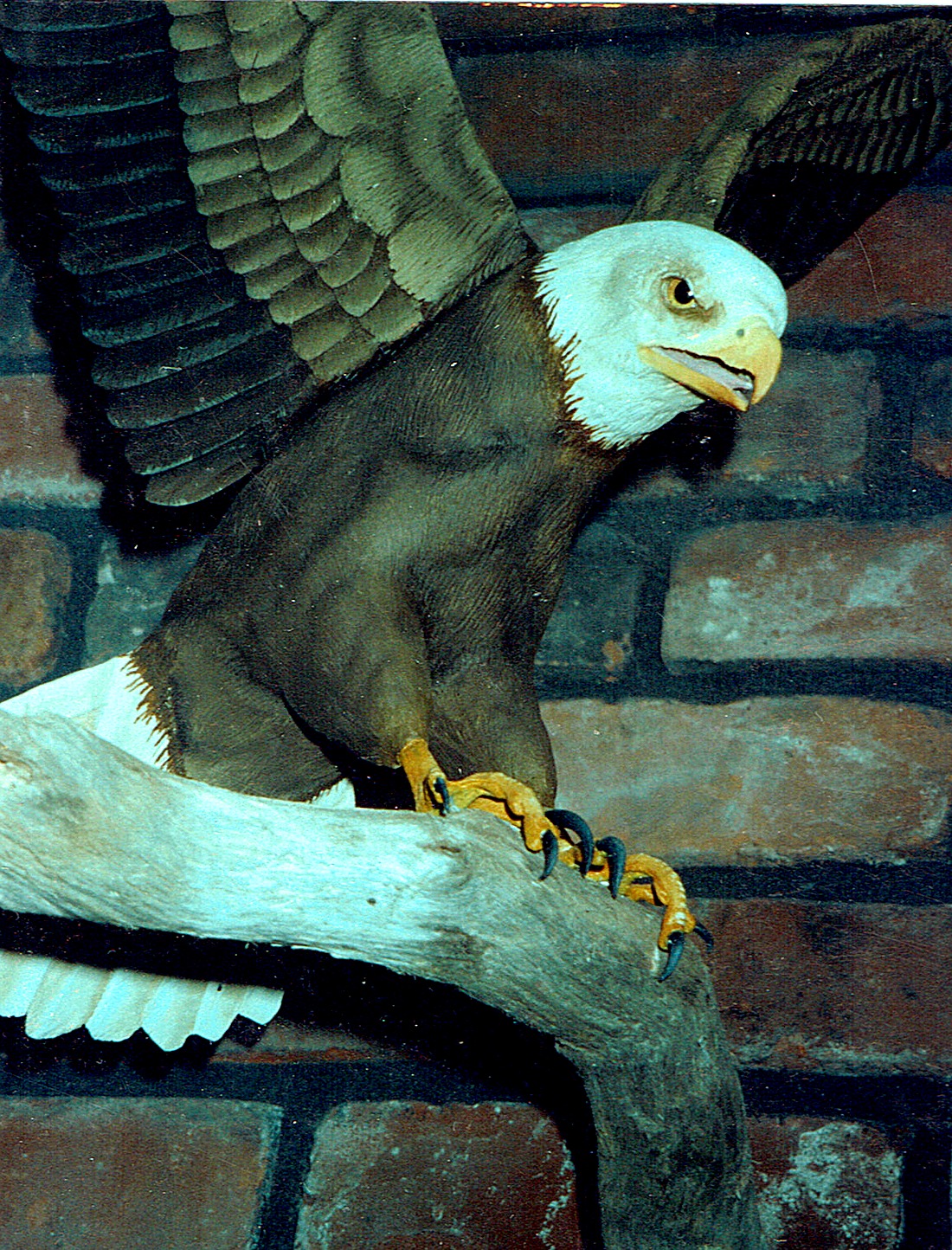 Eagle Sculpture — Carved Perching Eagle